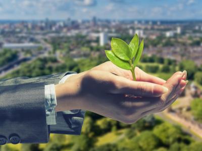 2024 Annual Stewardship Report